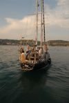 Orca z veselo družbo, po povabilu kapitana na krajšo vožjo
