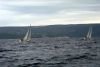 Še orca proti Bijarju in regata bo zaključena!