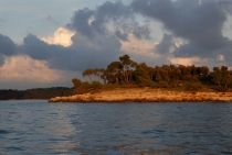 Crveni