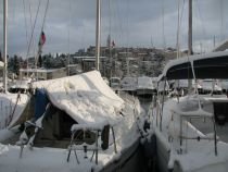 Foto: Roman Trobec - Electra